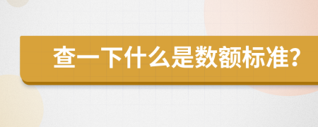 查一下什么是数额标准？