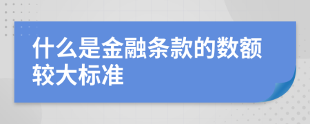 什么是金融条款的数额较大标准