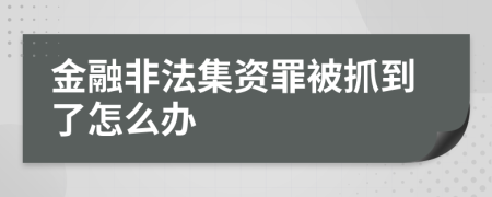 金融非法集资罪被抓到了怎么办