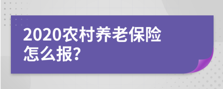 2020农村养老保险怎么报？