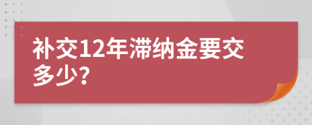 补交12年滞纳金要交多少？