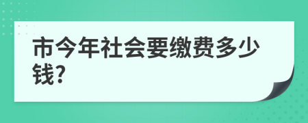 市今年社会要缴费多少钱?