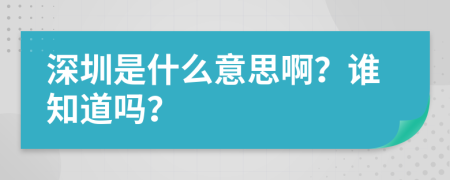 深圳是什么意思啊？谁知道吗？