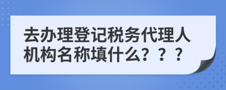 去办理登记税务代理人机构名称填什么？？?