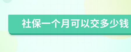 社保一个月可以交多少钱