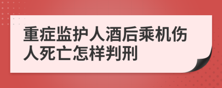 重症监护人酒后乘机伤人死亡怎样判刑