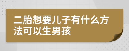 二胎想要儿子有什么方法可以生男孩