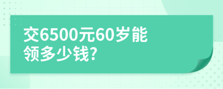 交6500元60岁能领多少钱?