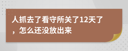 人抓去了看守所关了12天了，怎么还没放出来