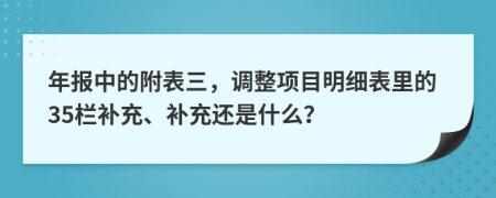 年报中的附表三，调整项目明细表里的35栏补充、补充还是什么？