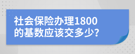 社会保险办理1800的基数应该交多少？