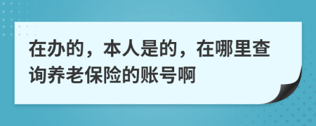 在办的，本人是的，在哪里查询养老保险的账号啊