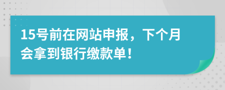 15号前在网站申报，下个月会拿到银行缴款单！