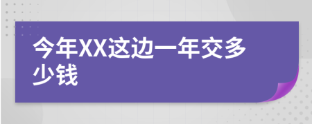 今年XX这边一年交多少钱