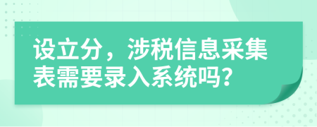 设立分，涉税信息采集表需要录入系统吗？