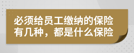 必须给员工缴纳的保险有几种，都是什么保险