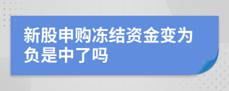 新股申购冻结资金变为负是中了吗