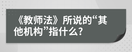 《教师法》所说的“其他机构”指什么?