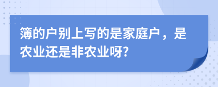 簿的户别上写的是家庭户，是农业还是非农业呀?