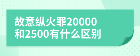 故意纵火罪20000和2500有什么区别