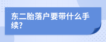 东二胎落户要带什么手续?