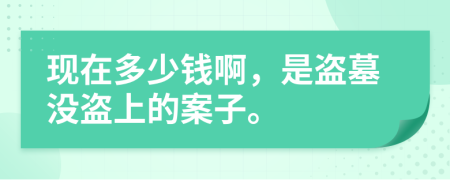 现在多少钱啊，是盗墓没盗上的案子。