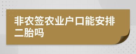 非农签农业户口能安排二胎吗