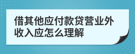 借其他应付款贷营业外收入应怎么理解