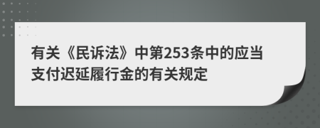 有关《民诉法》中第253条中的应当支付迟延履行金的有关规定