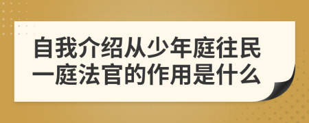 自我介绍从少年庭往民一庭法官的作用是什么