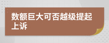 数额巨大可否越级提起上诉