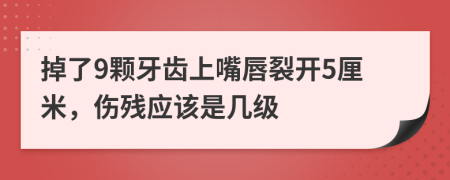 掉了9颗牙齿上嘴唇裂开5厘米，伤残应该是几级