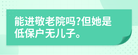 能进敬老院吗?但她是低保户无儿子。