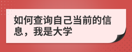 如何查询自己当前的信息，我是大学