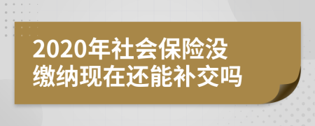 2020年社会保险没缴纳现在还能补交吗