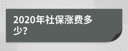 2020年社保涨费多少？