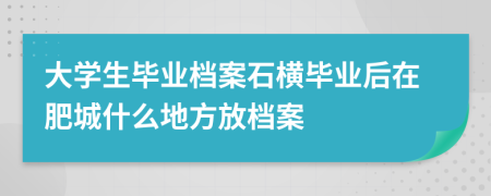 大学生毕业档案石横毕业后在肥城什么地方放档案