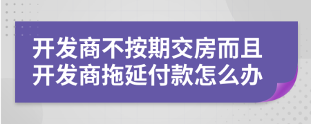 开发商不按期交房而且开发商拖延付款怎么办