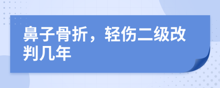 鼻子骨折，轻伤二级改判几年