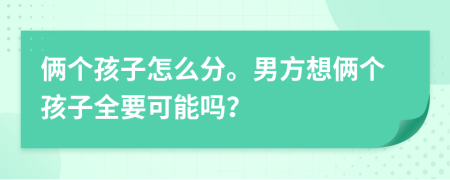 俩个孩子怎么分。男方想俩个孩子全要可能吗？