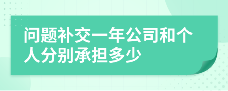 问题补交一年公司和个人分别承担多少