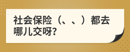 社会保险（、、）都去哪儿交呀？