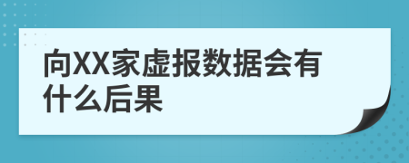 向XX家虚报数据会有什么后果