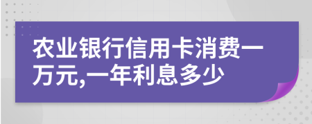 农业银行信用卡消费一万元,一年利息多少