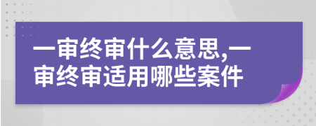 一审终审什么意思,一审终审适用哪些案件
