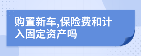 购置新车,保险费和计入固定资产吗