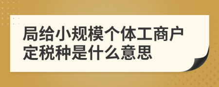 局给小规模个体工商户定税种是什么意思