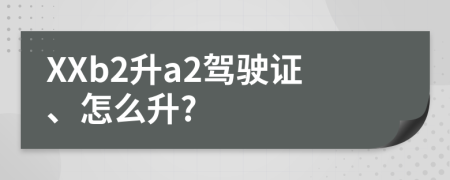 XXb2升a2驾驶证、怎么升?