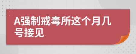 A强制戒毒所这个月几号接见