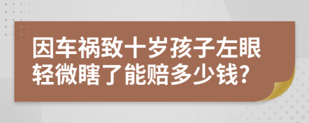 因车祸致十岁孩子左眼轻微瞎了能赔多少钱?